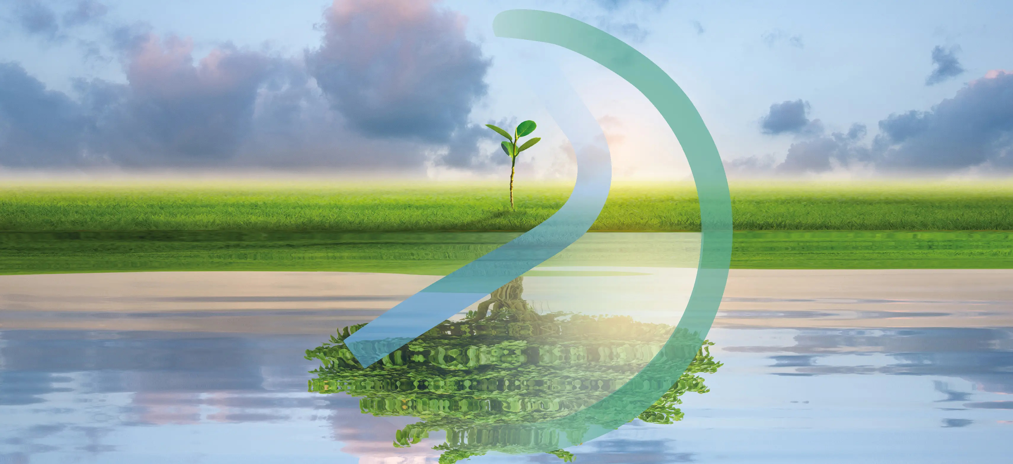 Mediochiampo Logo Home Page