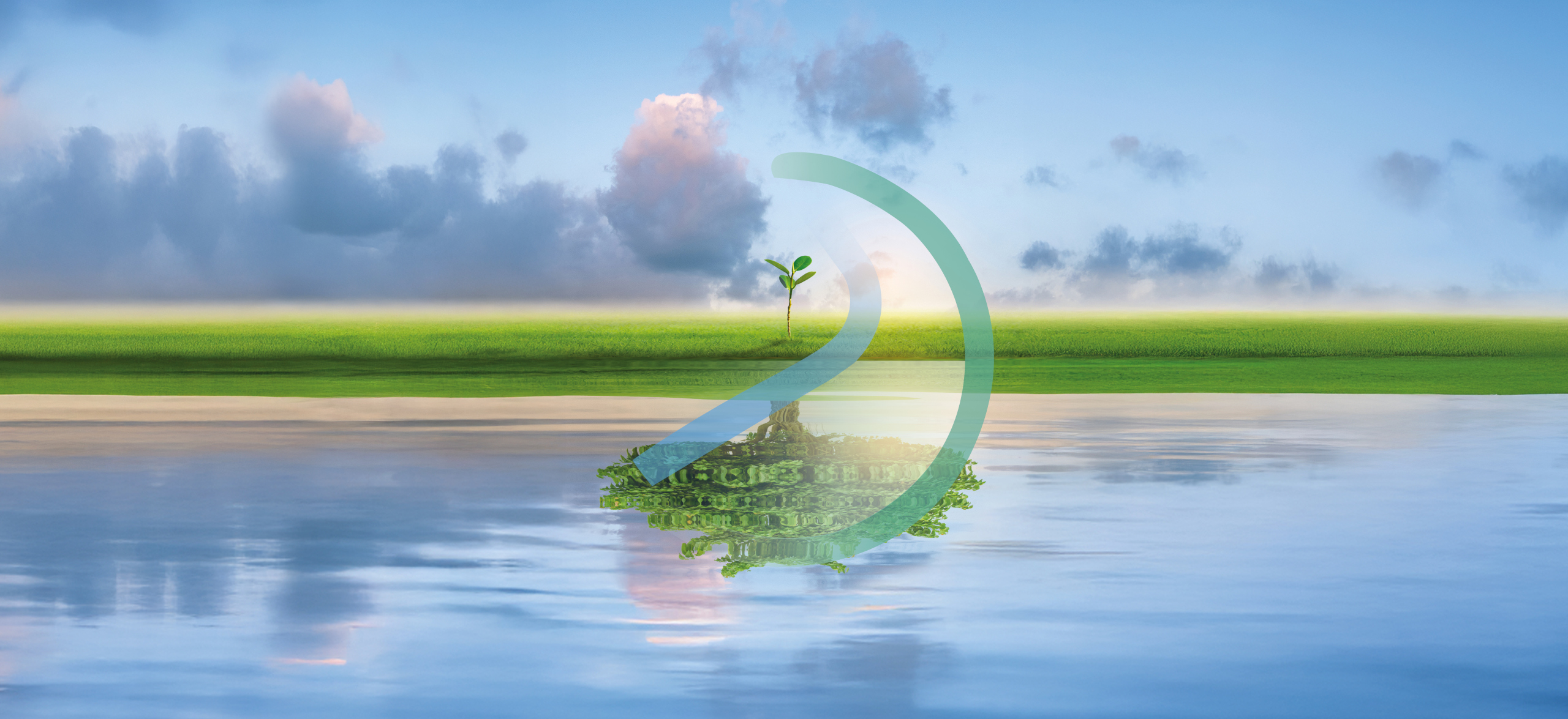 Mediochiampo Logo Home Page